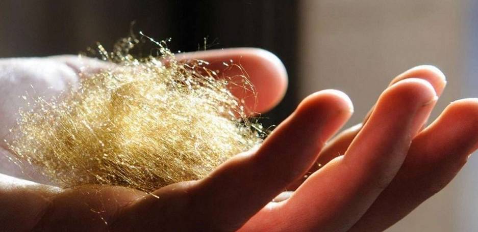 Mais il existe d’autres soies, la soie de mer
